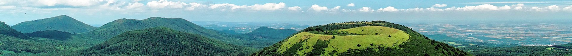 Quên mật khẩu